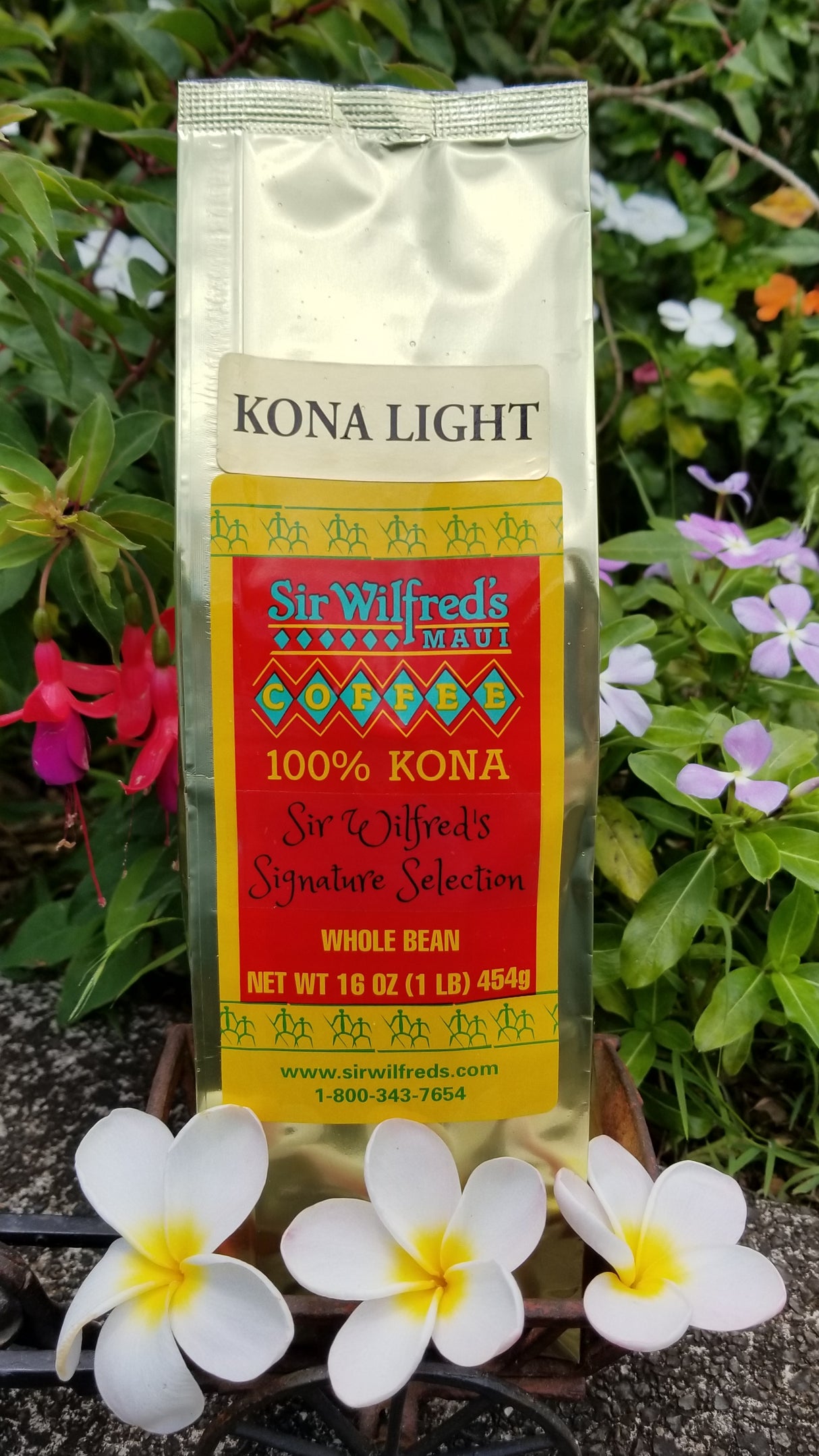 Sir Wilfred's Signature Kona Light